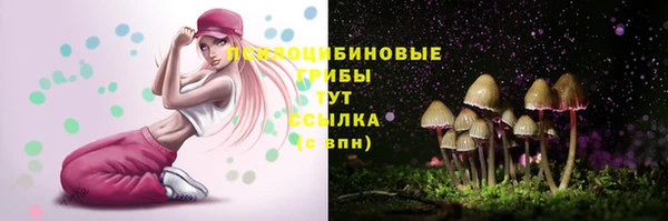 скорость Алексин