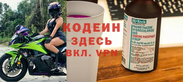 хмурый Алзамай