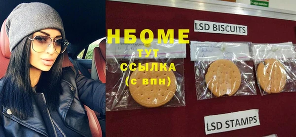 хмурый Алзамай