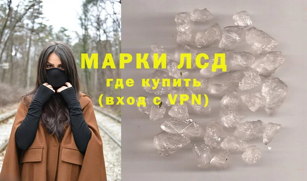 хмурый Алзамай